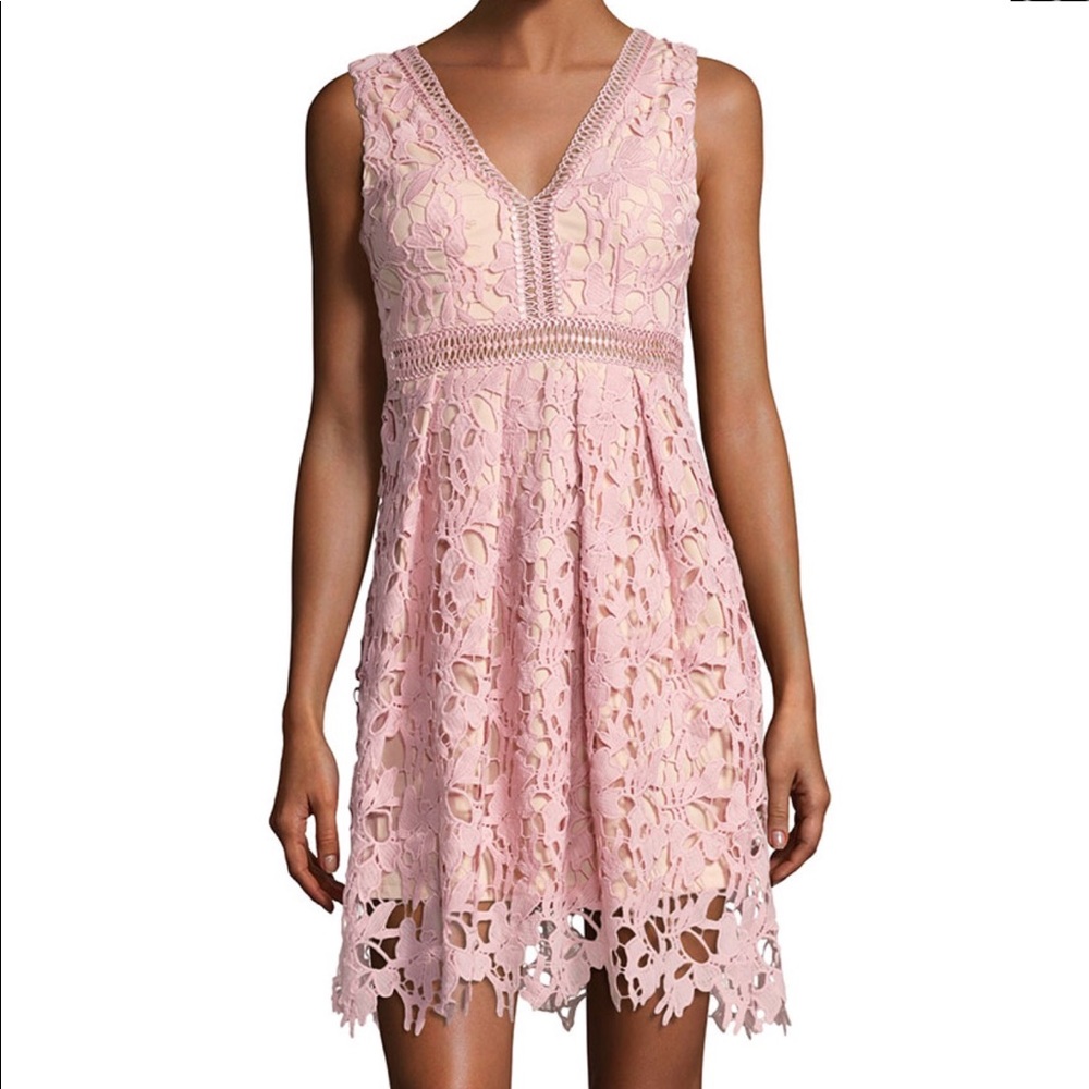 Star Crossed Lovers Deep V Rose Lace Dress